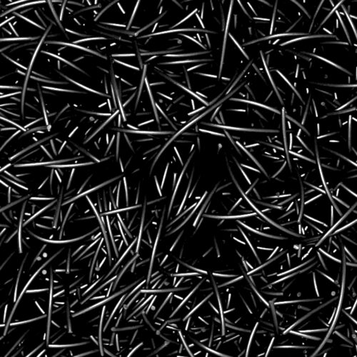 Armonie in nero