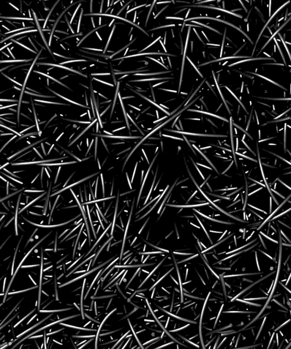Armonie in nero