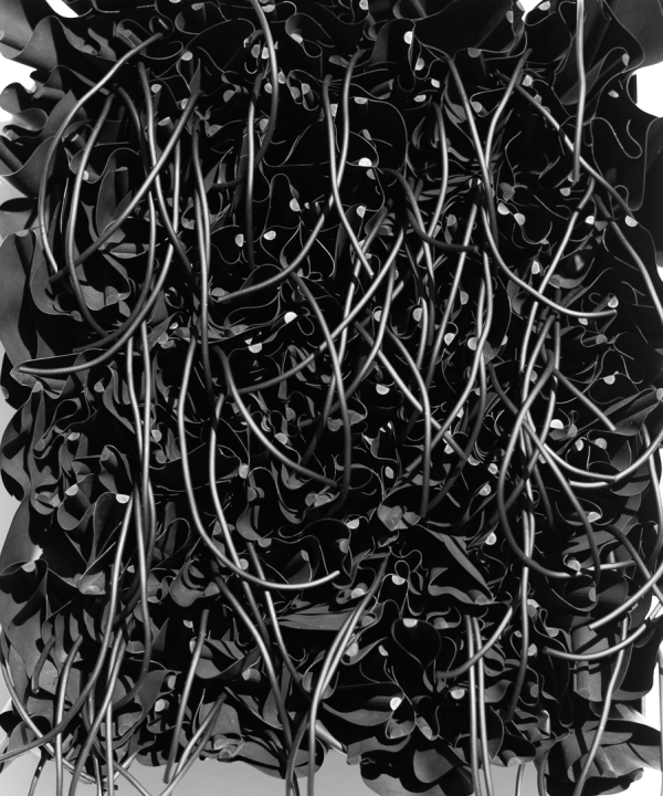 Black_FlowesMH17