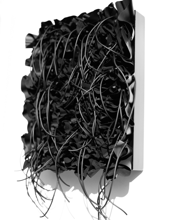 Black_FlowesMH17