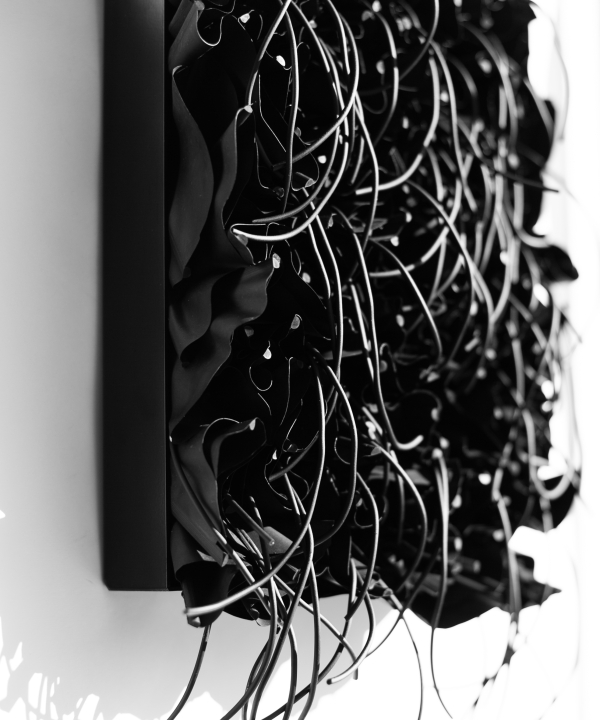 Black_FlowesMH17