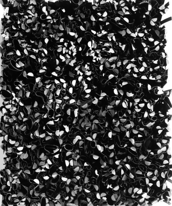 Black FlowesMH22