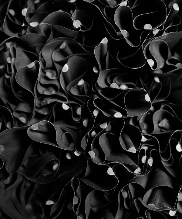Black Flowes MH24