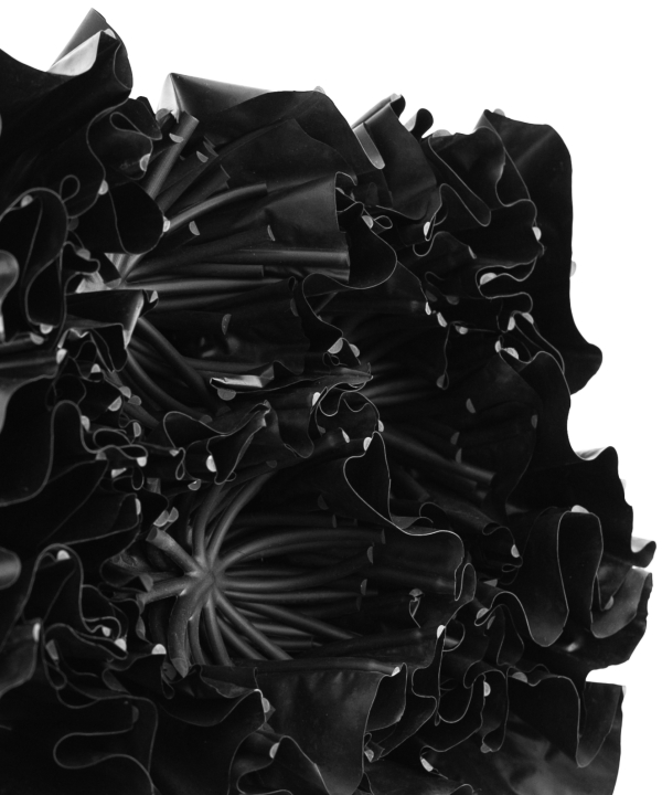 Black Flowes MH29