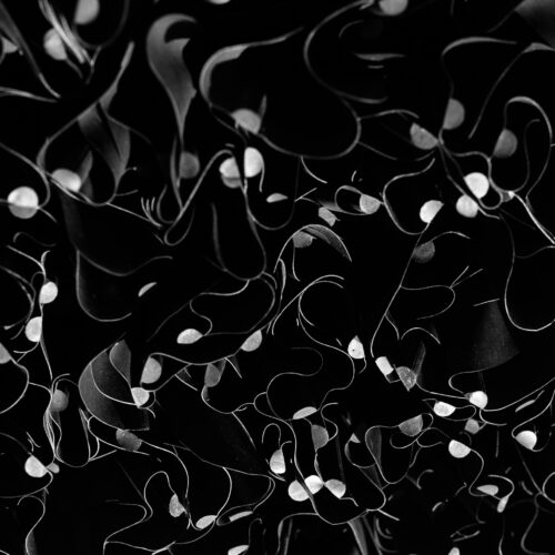 Black Flowes MH24