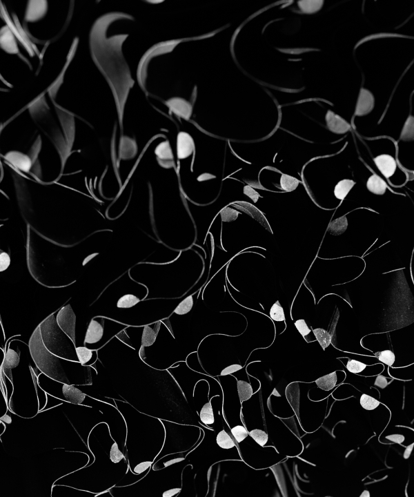 Black Flowes MH24