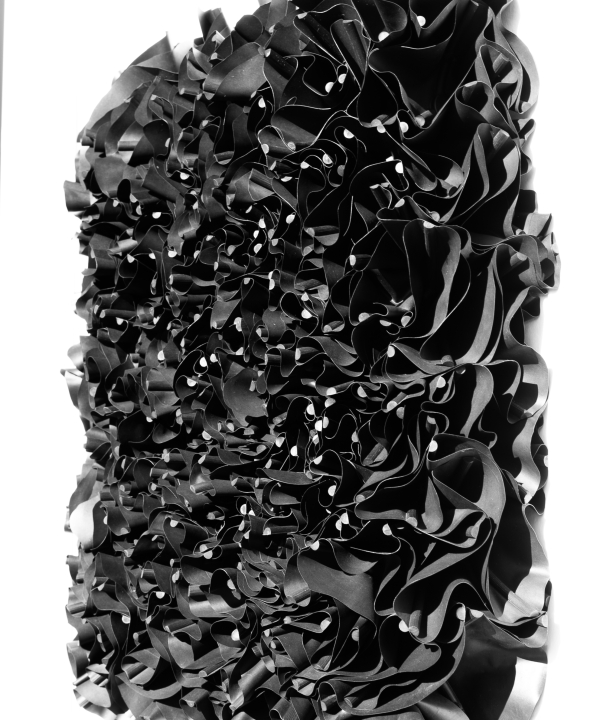 Black Flowes MH24