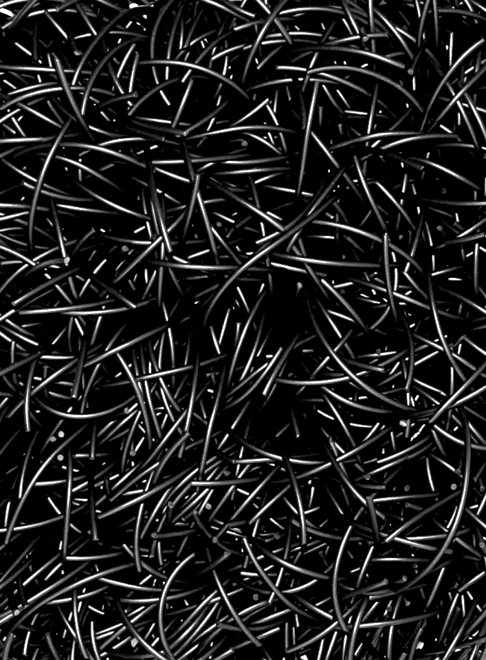 Armonie in nero