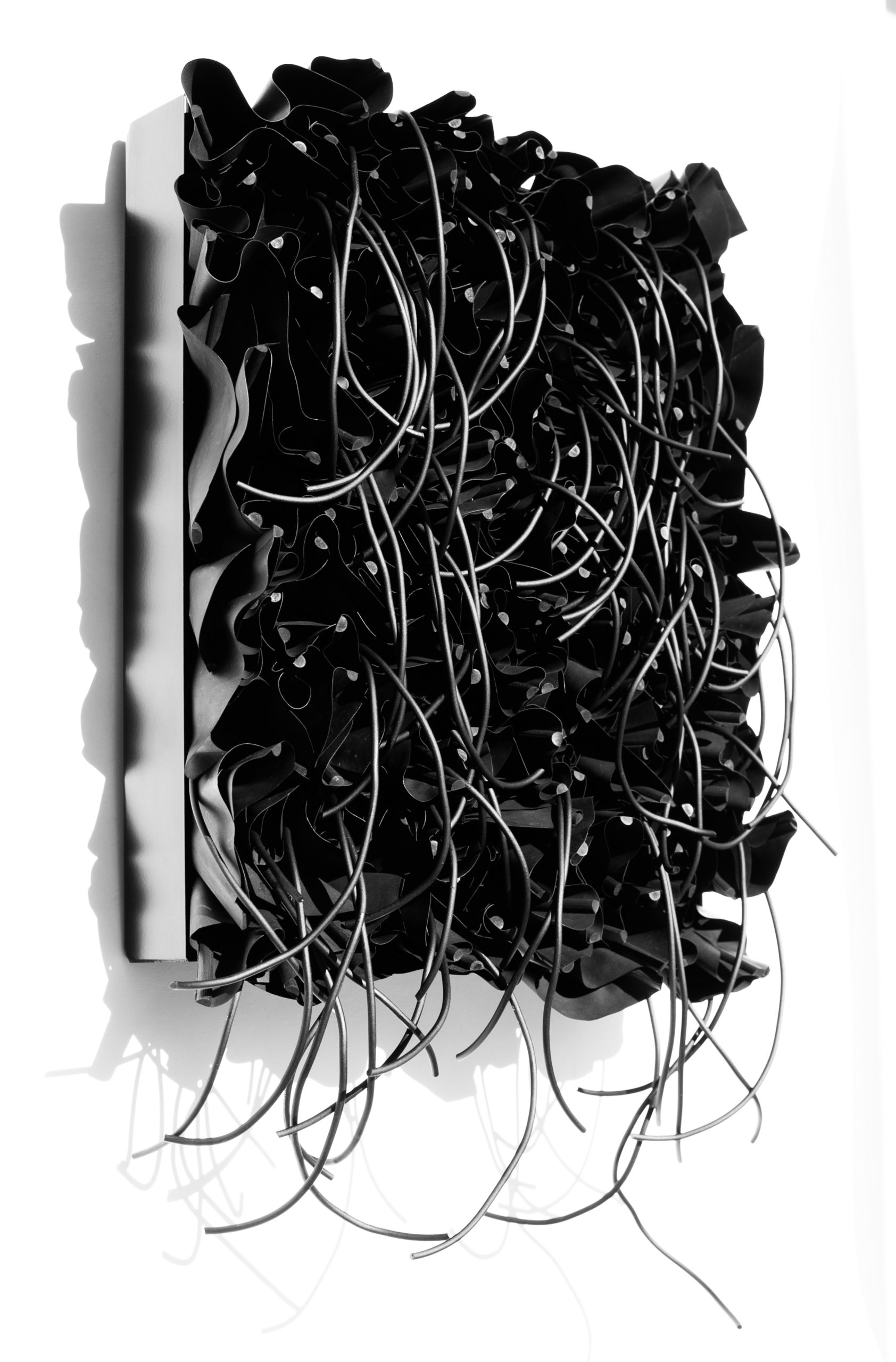 Black_FlowesMH17