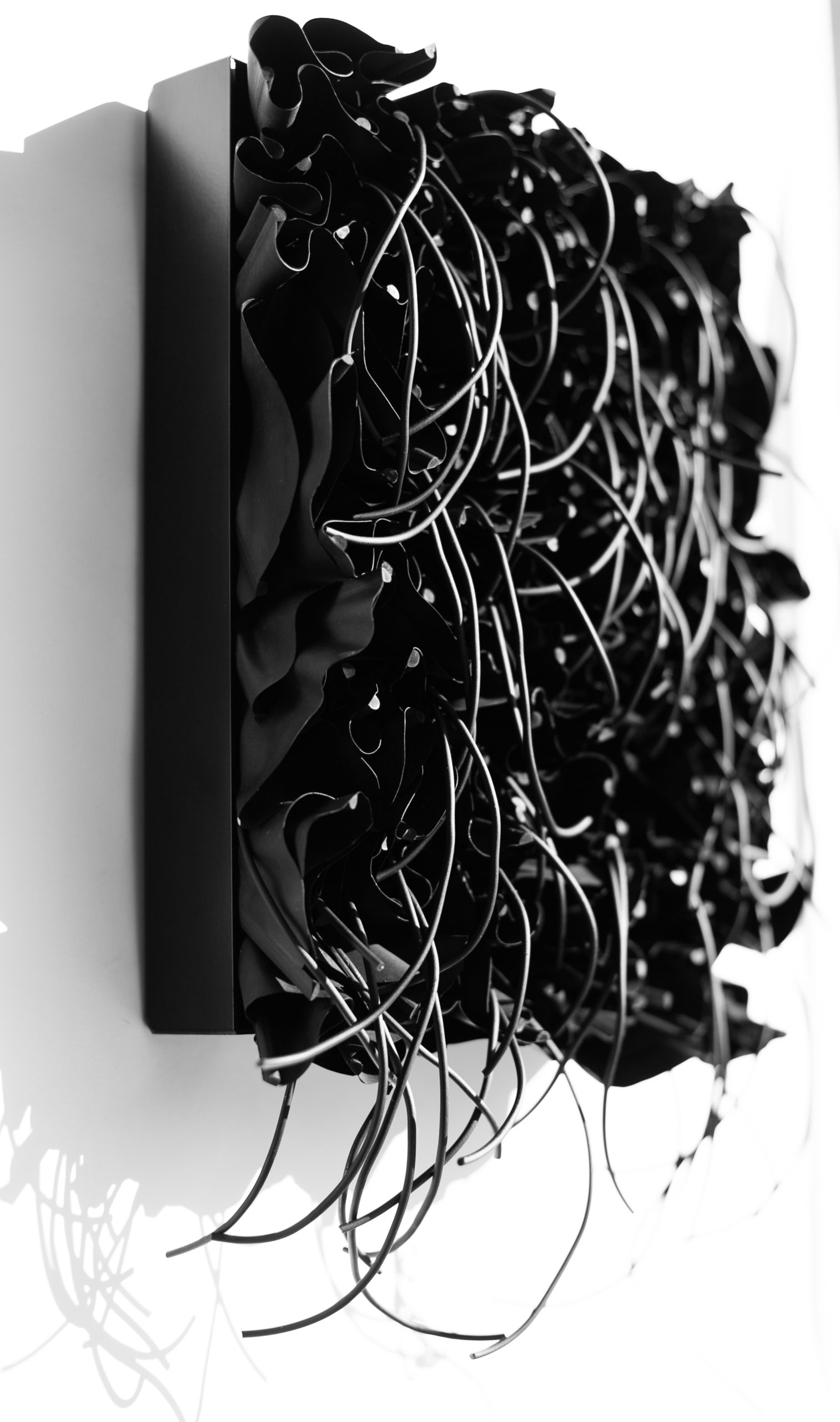 Black_FlowesMH17