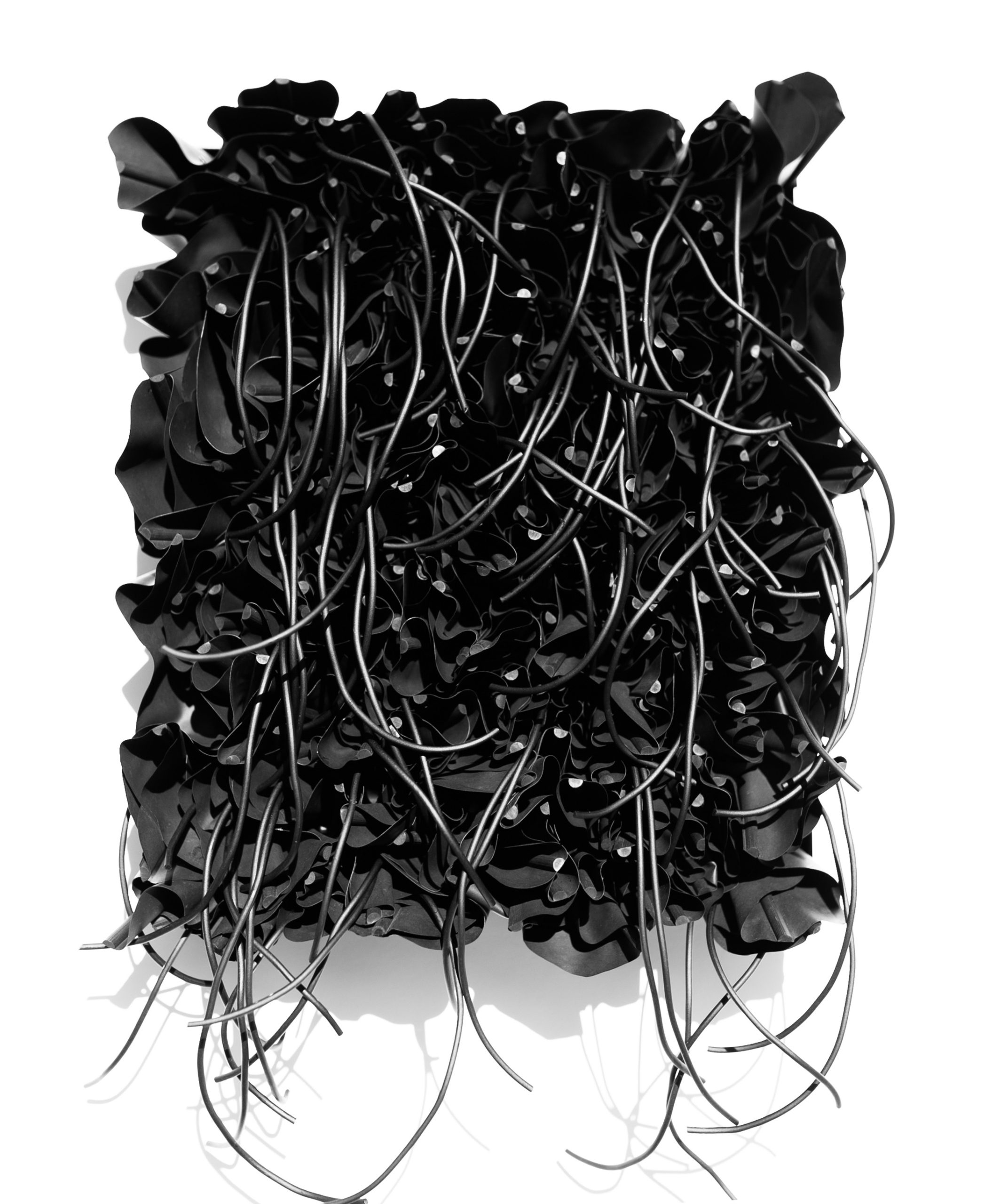 Black_FlowesMH17