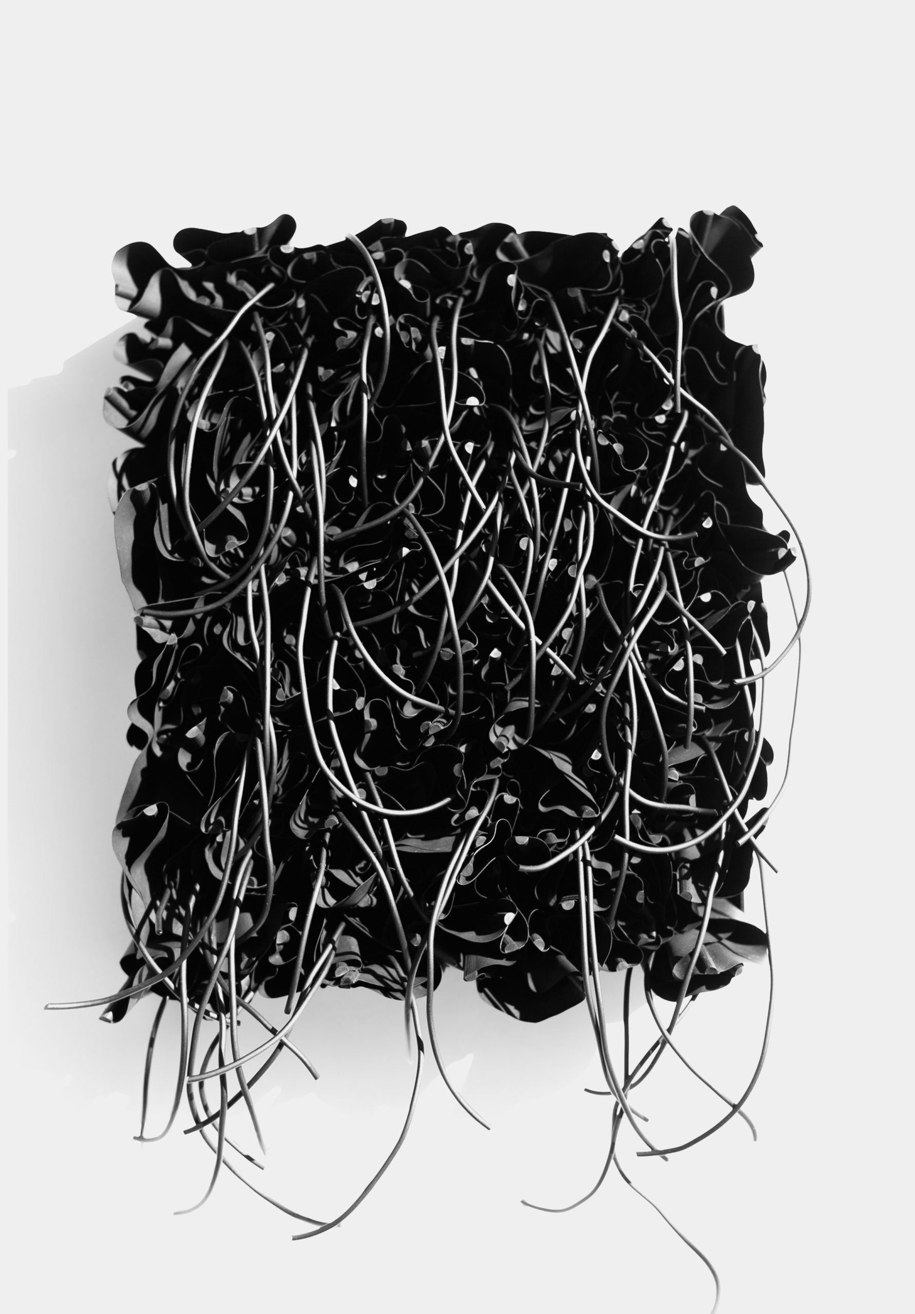 black_flowers_mh17