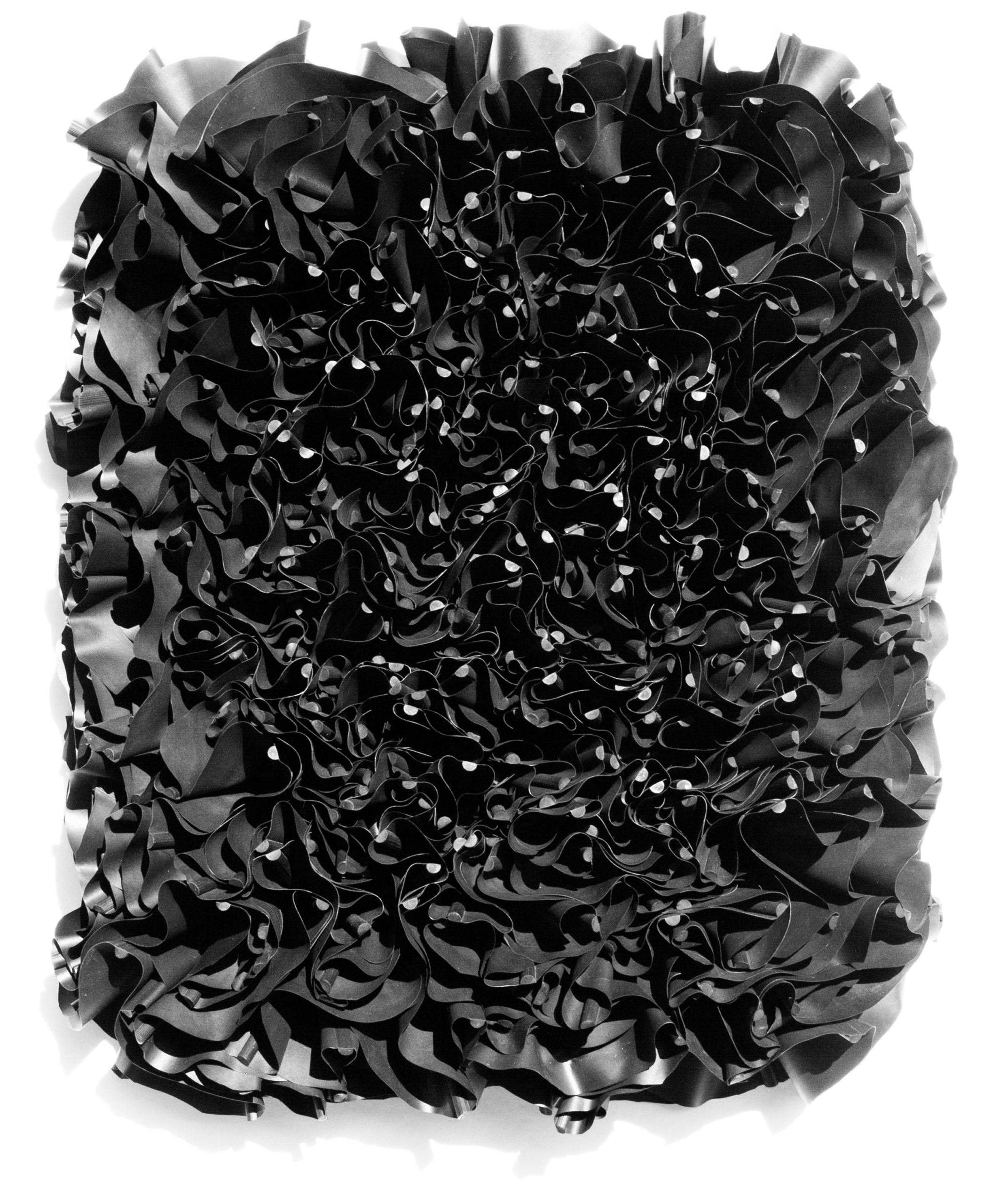 black flowers mh24