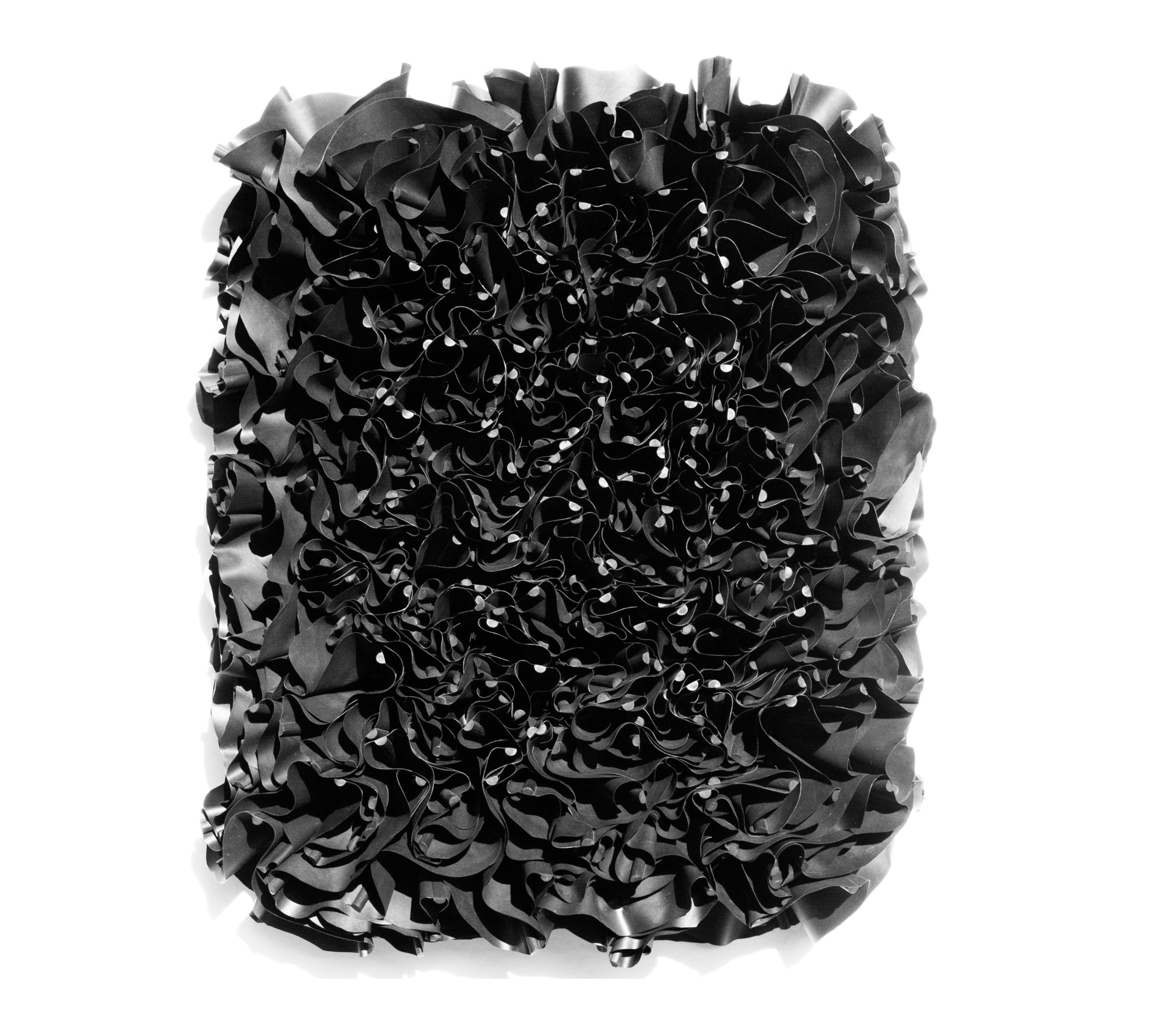 black flowers mh24