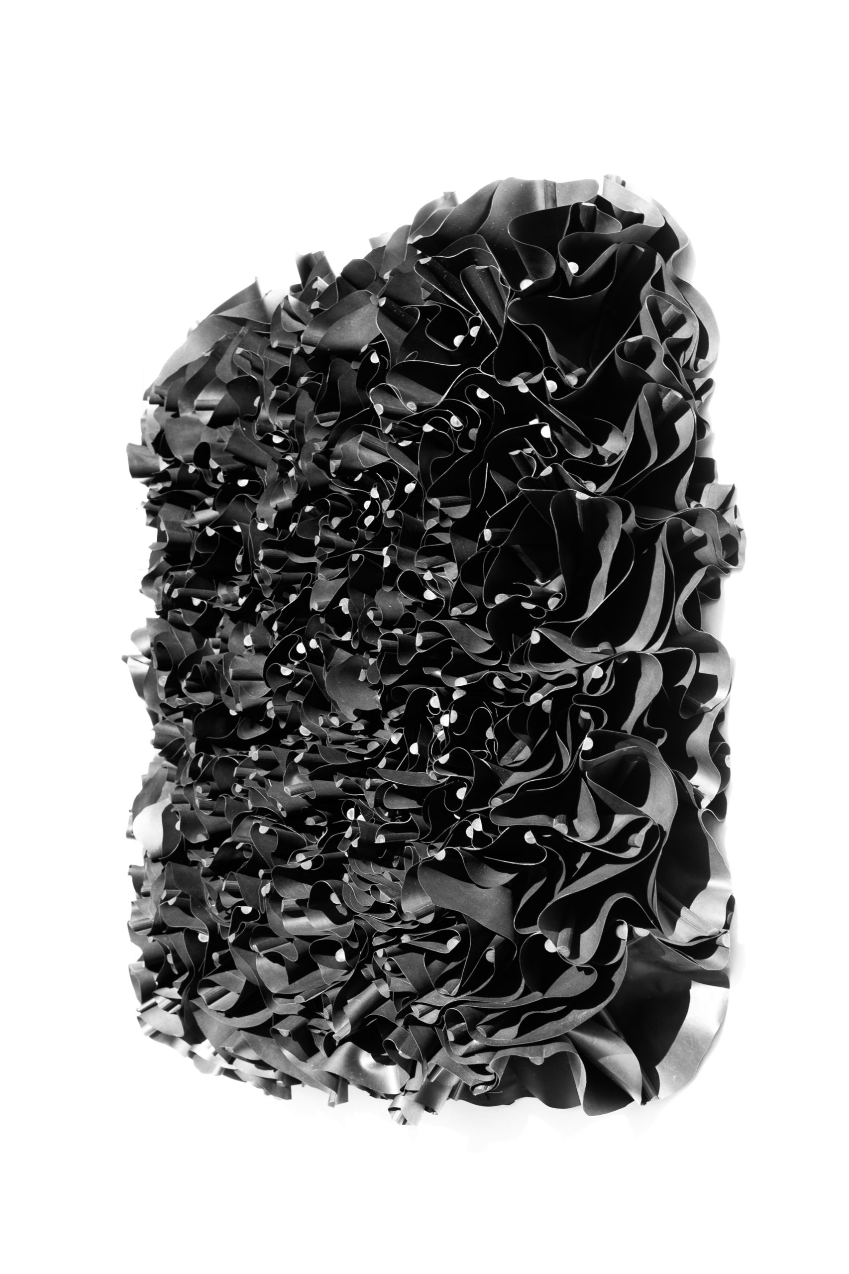 black flowers mh24