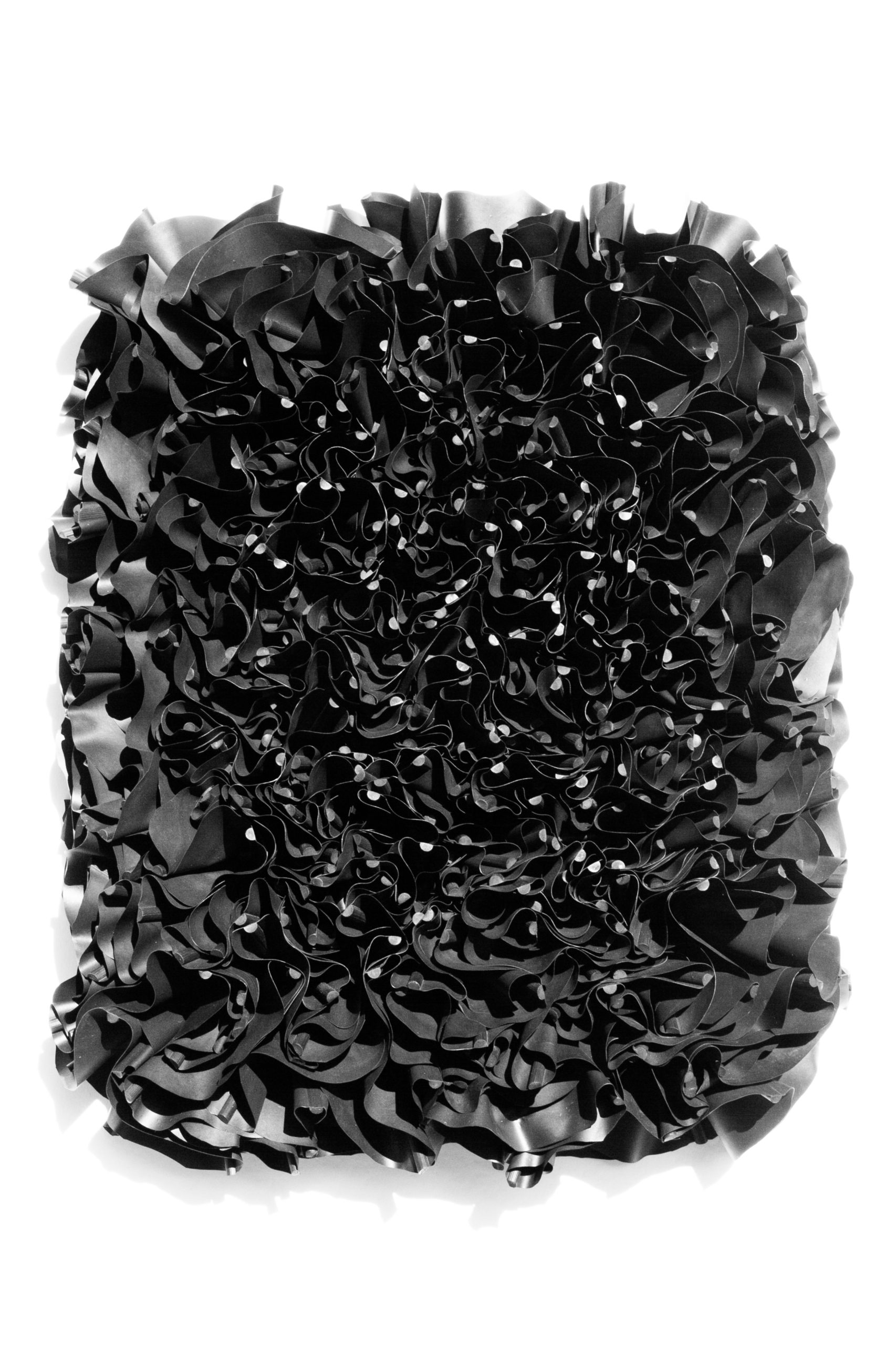 black flowers mh24