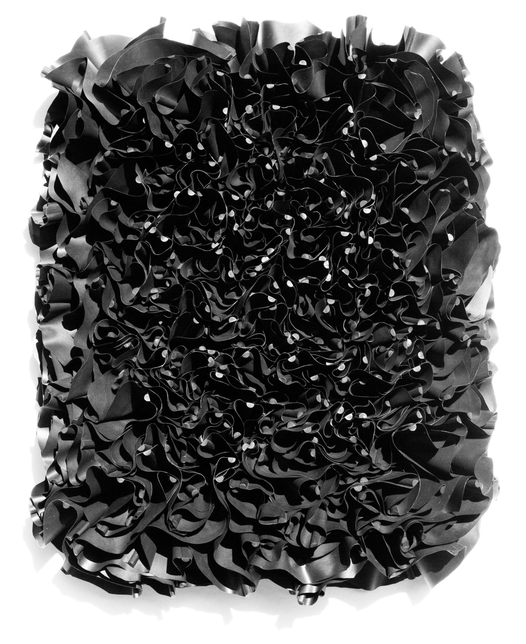 black_flowers_mh24